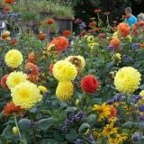 Garten der Welt